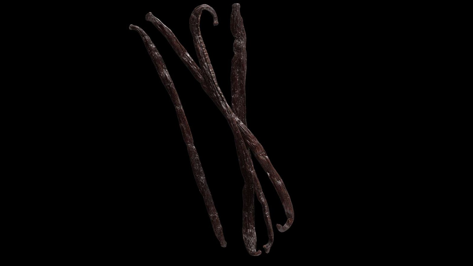 Vanilla Beans 5